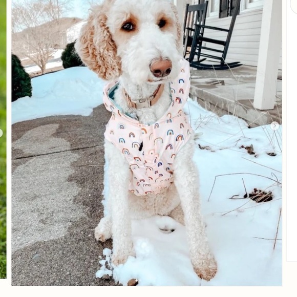 Lucy & Co In The Clouds reversible dog raincoat
peach w/rainbows/aqua zip hoodie - Picture 7 of 9